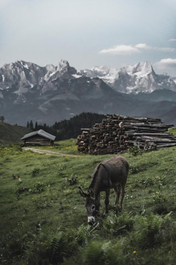 Gaestehaus Eder Sankt Martin am Tennengebirge Kültér fotó